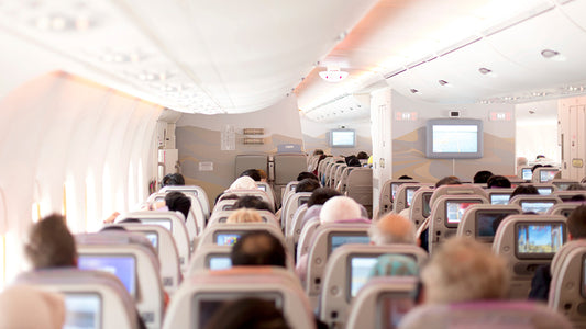 HOLIDAY TRAVEL TIPS